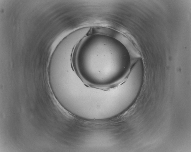 X0000075921344200610062158