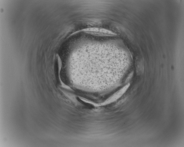 X0000075921345200610062157