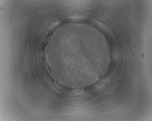 X0000075921346200610062157