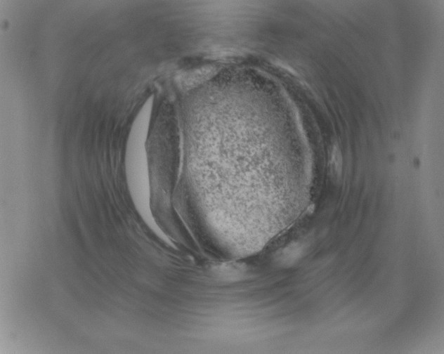 X0000075921348200610062157