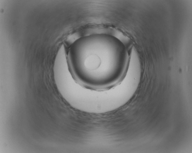 X0000075921349200610062157