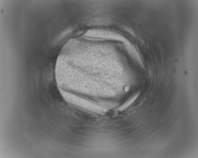 X0000075921350200610062157