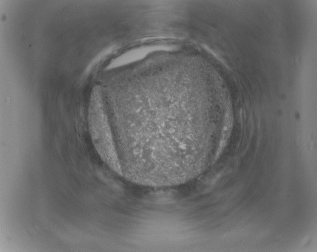 X0000075921351200610062157