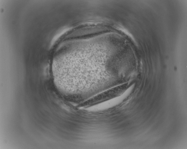 X0000075921352200610062157