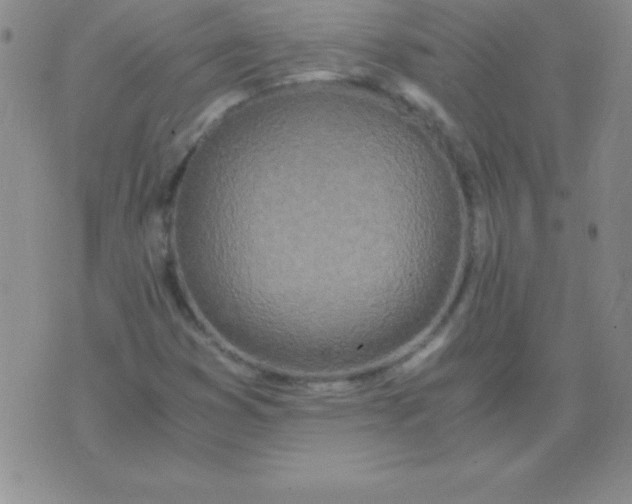 X0000075921353200610062157