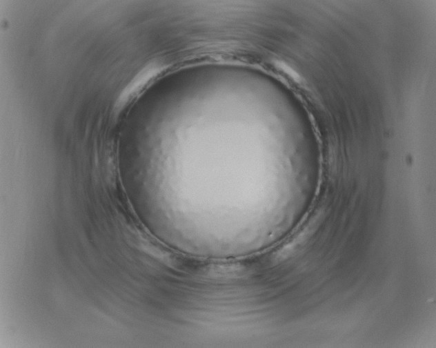 X0000075921354200610062157