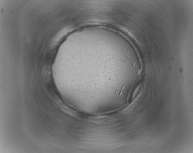 X0000075921355200610062157