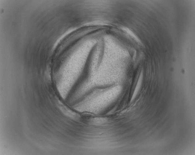 X0000075921356200610062157