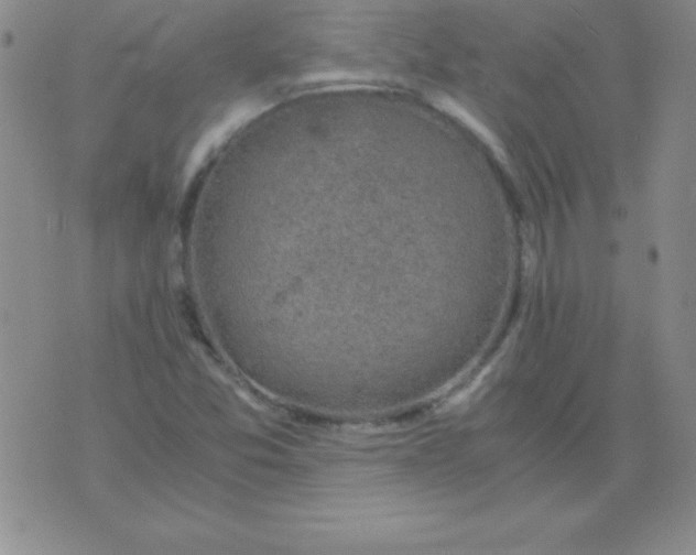 X0000075921357200610062157