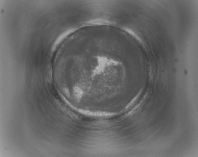 X0000075921358200610062157