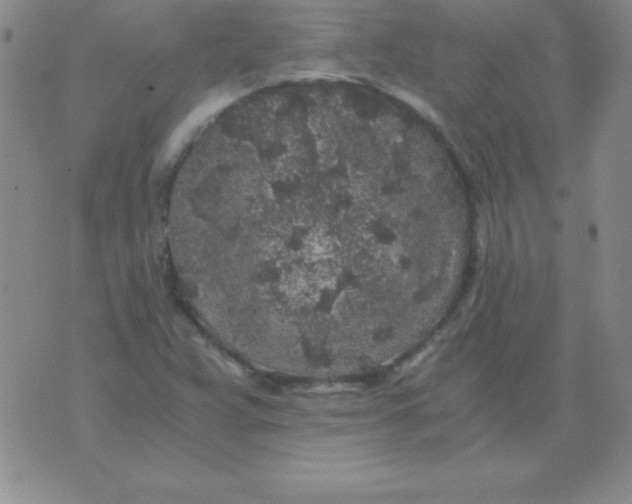 X0000075921359200610062157