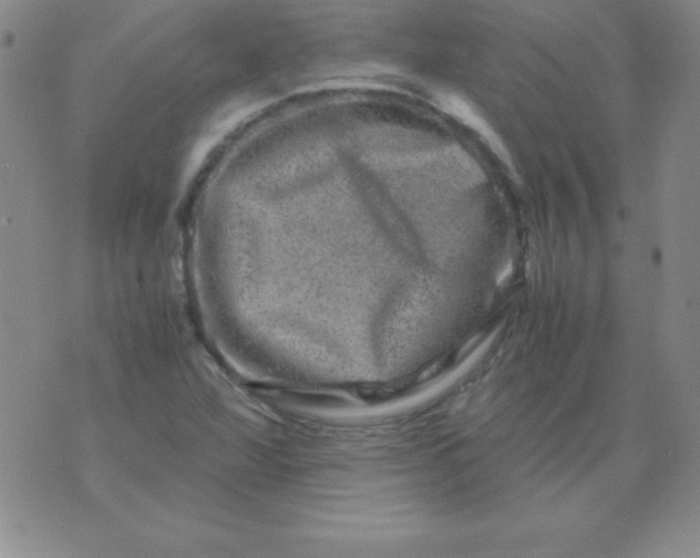 X0000075921360200610062157