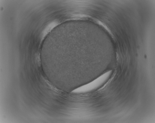 X0000075921362200610062157