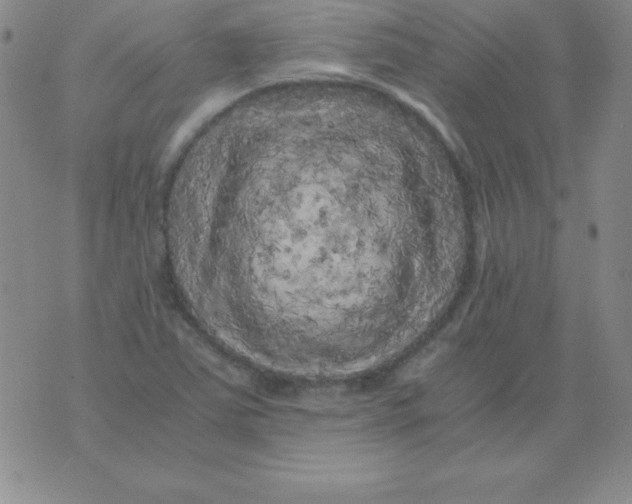 X0000075921363200610062157