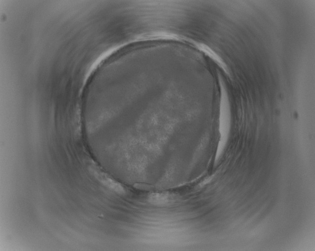 X0000075921364200610062157