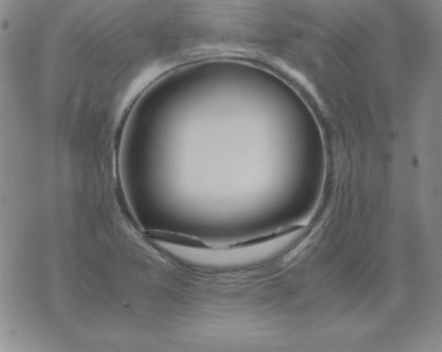 X0000075921365200610062157