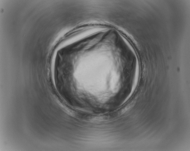 X0000075921367200610062157