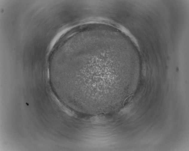 X0000075921368200610062157