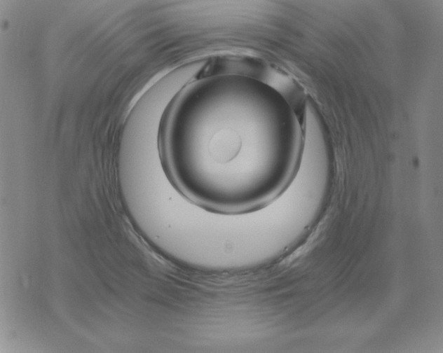 X0000075921369200610062157