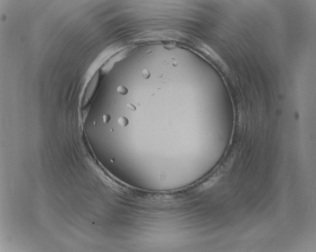 X0000075921370200610062157