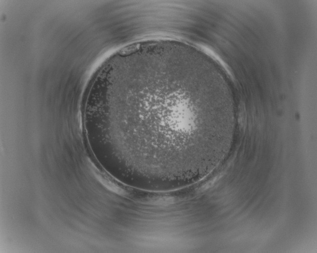 X0000075921372200610062157