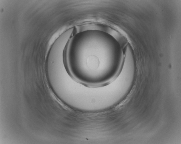 X0000075921373200610062157