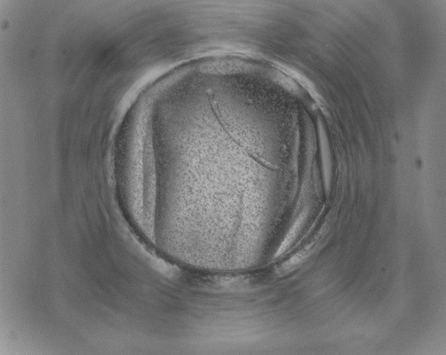 X0000075921375200610062157