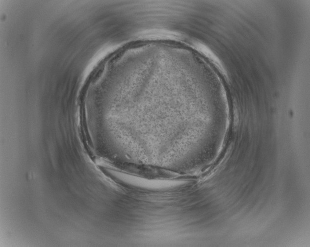 X0000075921376200610062157