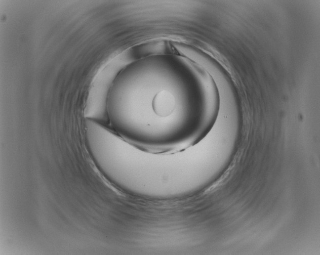 X0000075921377200610062157