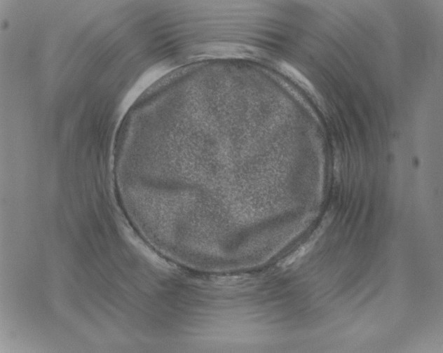 X0000075921378200610062157