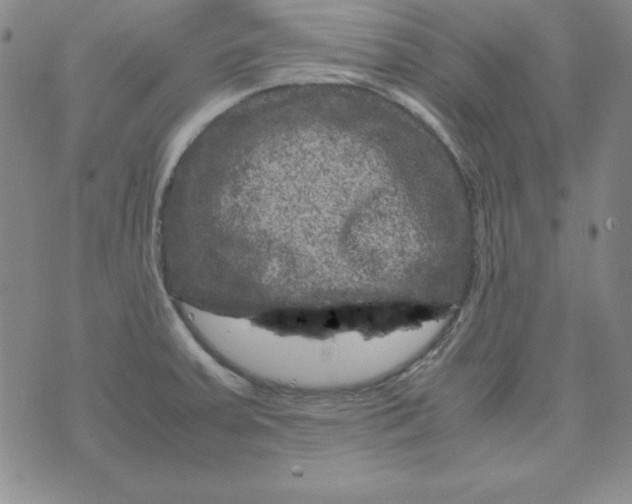 X0000075921379200610062157