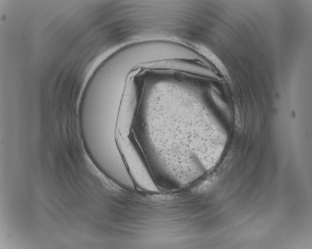 X0000075921380200610062157