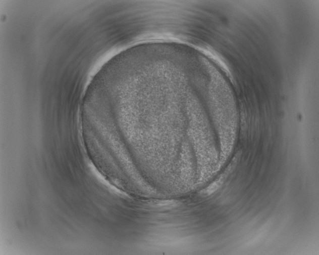 X0000075921382200610062157