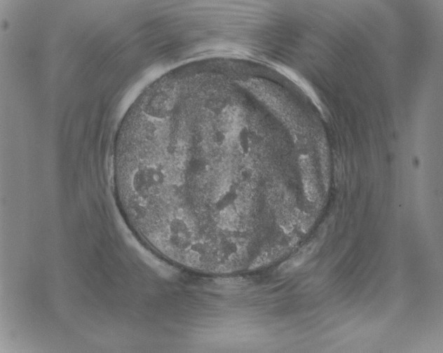 X0000075921383200610062157