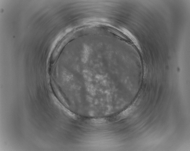 X0000075921384200610062157