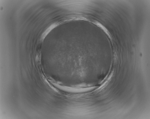 X0000075921385200610062157