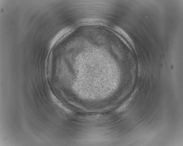 X0000075921386200610062157