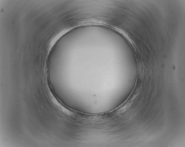 X0000075921387200610062157