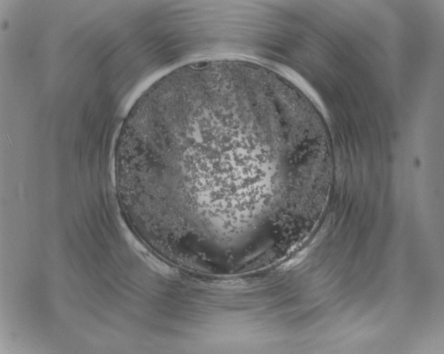 X0000075921388200610062157