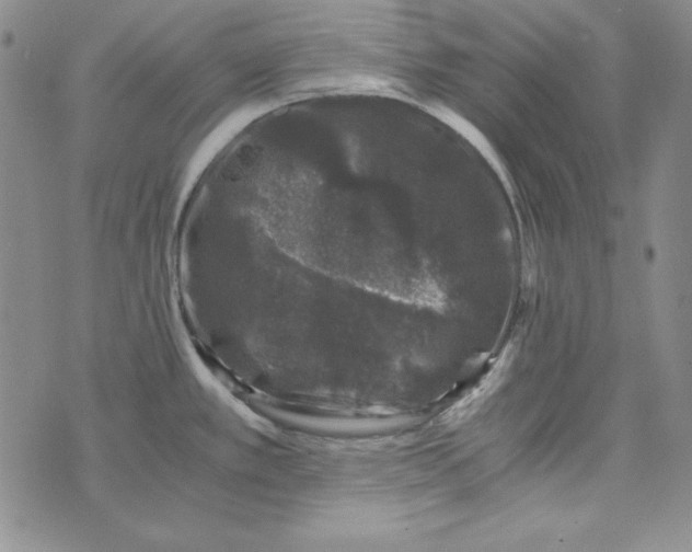 X0000075921389200610062157