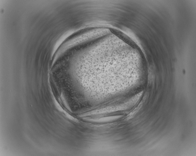 X0000075921390200610062157