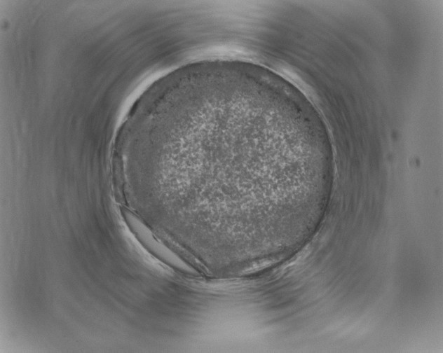 X0000075921392200610062156