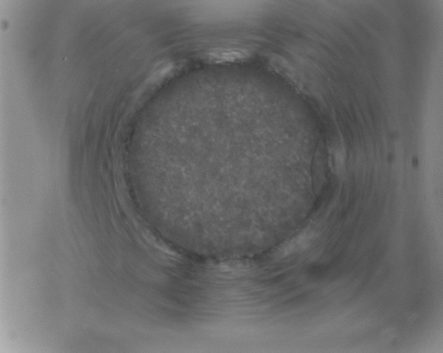 X0000075921393200610062156