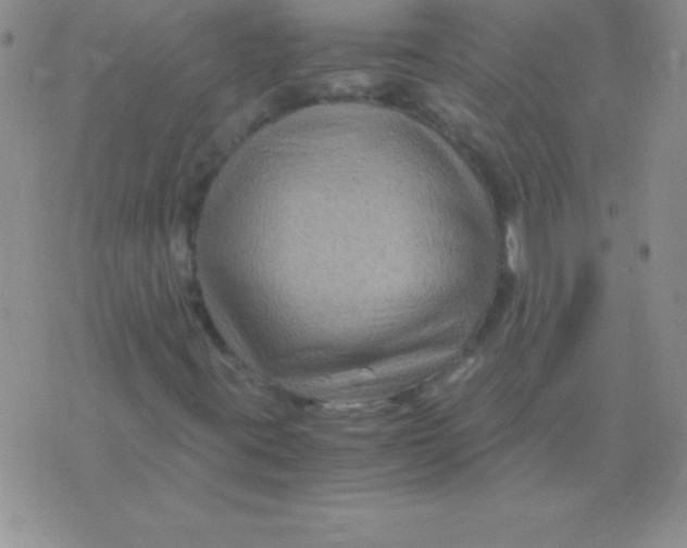 X0000075921395200610062156