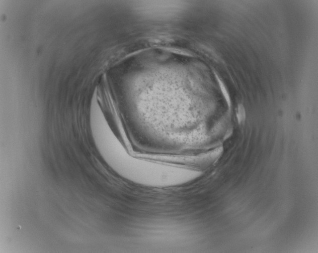 X0000075921396200610062156