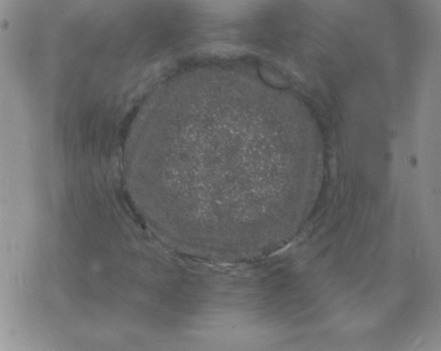 X0000075921397200610062156