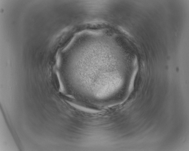 X0000075921398200610062156