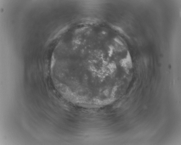 X0000075921399200610062156