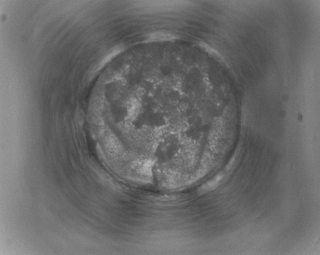 X0000075921401200610062156