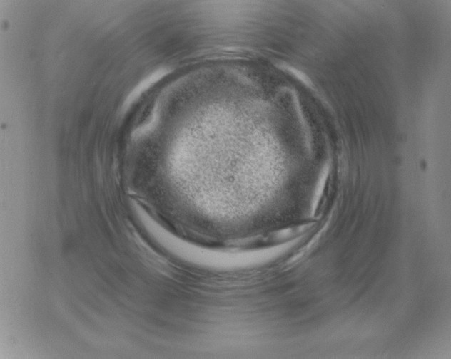 X0000075921402200610062156